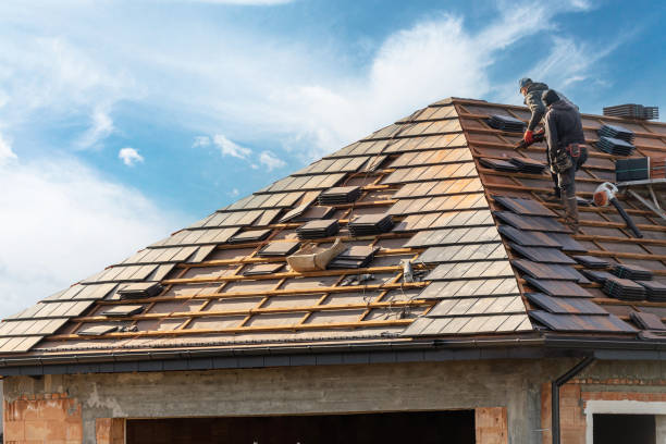 Best Roof Moss and Algae Removal  in Byron, CA
